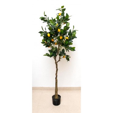 Árbol de limones 150cm