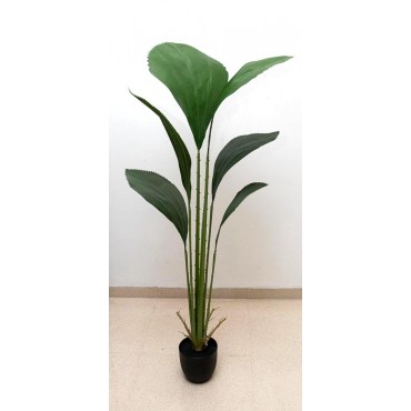 Árbol abanico 130cm