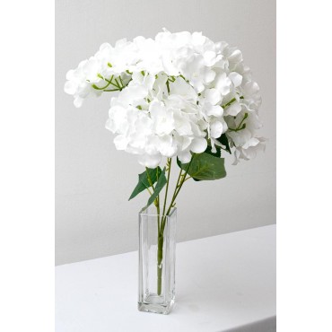 Ramo de hortensias con 5...
