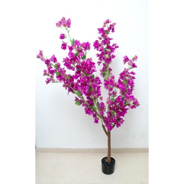 Árbol de bugambilia 140cm