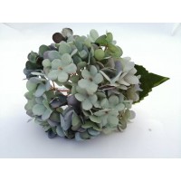 Hortensias Artificiales