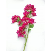 Varas largas de flores