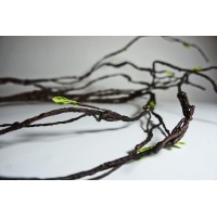 bambu curly varas branch varas