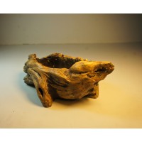 Colección Naturaleza
